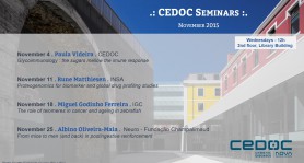 cedoc seminar november 2015